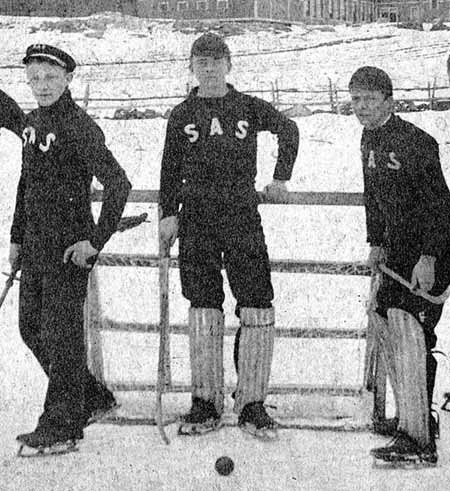 392-ice_polo_1890.jpg-normal